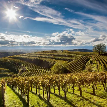 Gite Mozart - Rez De Jardin Tatil Evi *