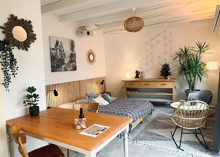 Gite Mozart - Rez De Jardin Colmar