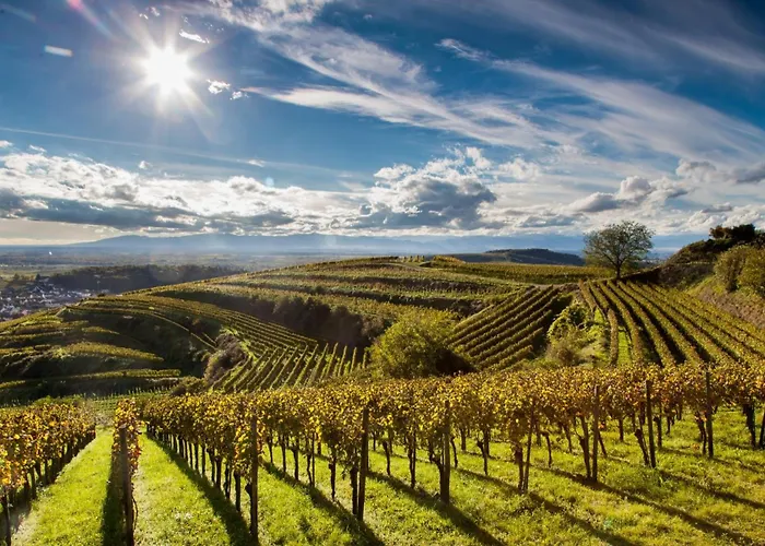 Gite Mozart - Rez De Jardin Semesterbostad *